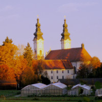 Kirche, Wiese, Maristenkloster